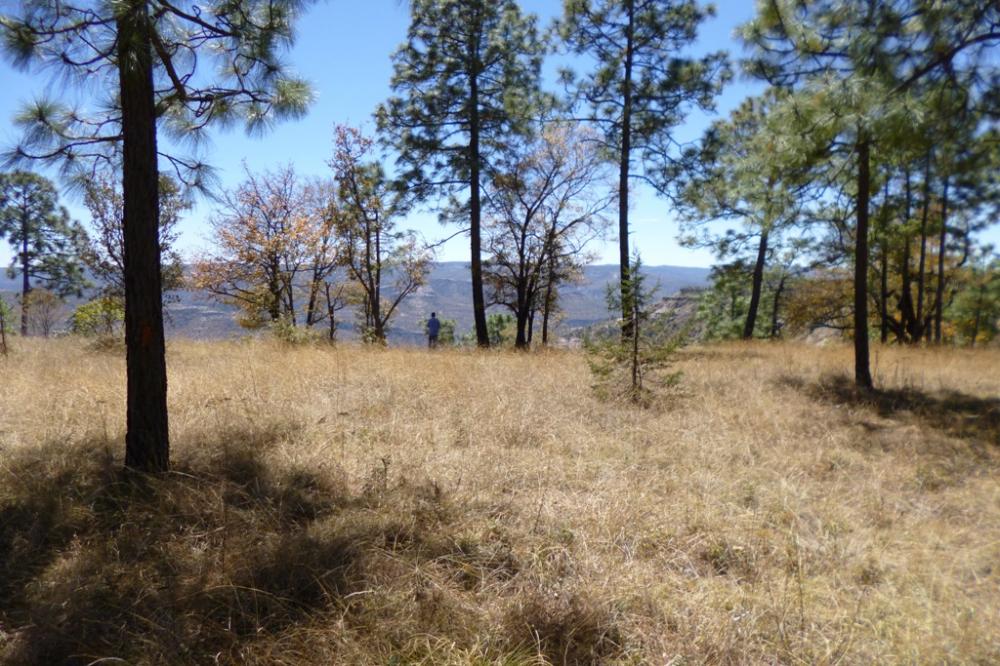 La Providencia Eco Park / Sierra Madre, Durango